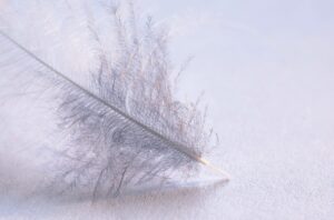 一生使える国家資格にはどんな種類があるの？