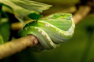 国家資格の合格率を公表する義務はあるのか？