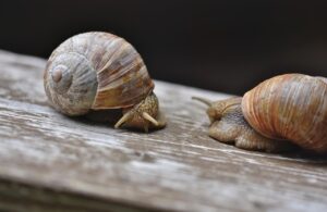 国家資格を独学で取得することは可能？