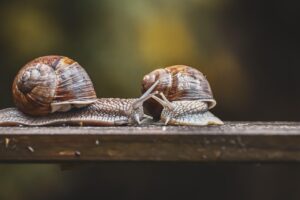 国家資格を独学で合格できる方法は？
